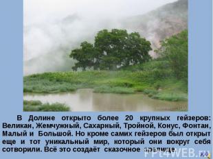 В Долине открыто более 20 крупных гейзеров: Великан, Жемчужный, Сахарный, Тройно