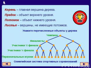 Корень – главная вершина дерева. Предок – объект верхнего уровня.Потомок – объек