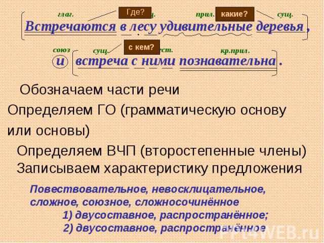 Встречаются в лесу удивительные деревья , и встреча с ними познавательна .Повествовательное, невосклицательное, сложное, союзное, сложносочинённое1) двусоставное, распространённое; 2) двусоставное, распространённое