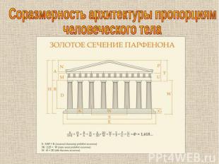 Соразмерность архитектуры пропорциям человеческого тела