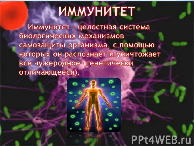 ИММУНИТЕТ Иммунитет – целостная система биологических механизмов самозащиты организма, с помощью которых он распознает и уничтожает все чужеродное (генетически отличающееся).