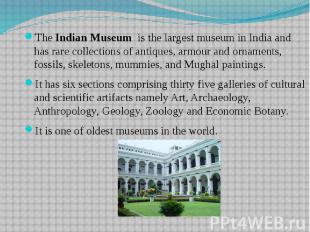 The Indian Museum is the largest museum in India and has rare collections of ant