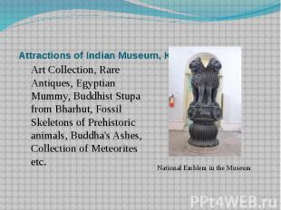Attractions of Indian Museum, KolkataArt Collection, Rare Antiques, Egyptian Mum