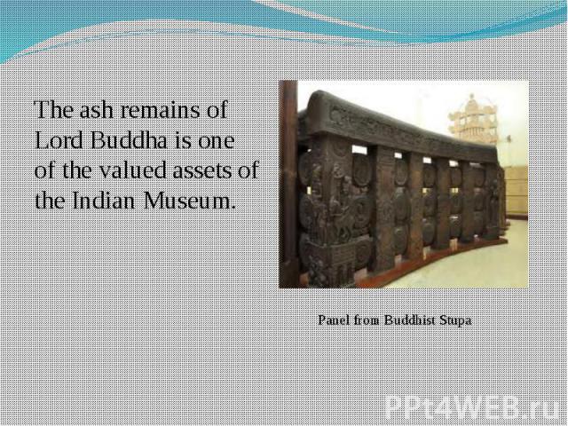 The ash remains of Lord Buddha is one of the valued assets of the Indian Museum.