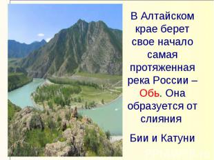 В Алтайском крае берет свое начало самая протяженная река России – Обь. Она обра