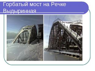 Горбатый мост на Речке Выдыринная