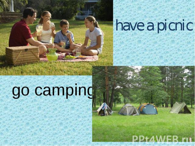 have a picnicgo camping