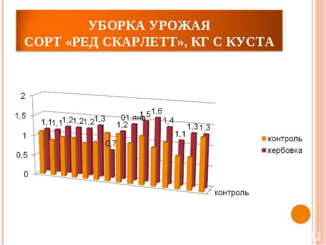 Уборка урожаяСорт «Ред Скарлетт», кг с куста