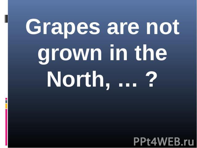 Grapes are not grown in the North, … ?