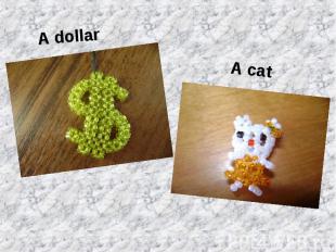 A dollarA cat