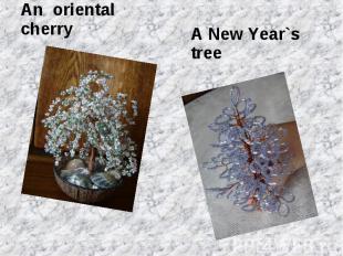 An oriental cherryA New Year`s tree