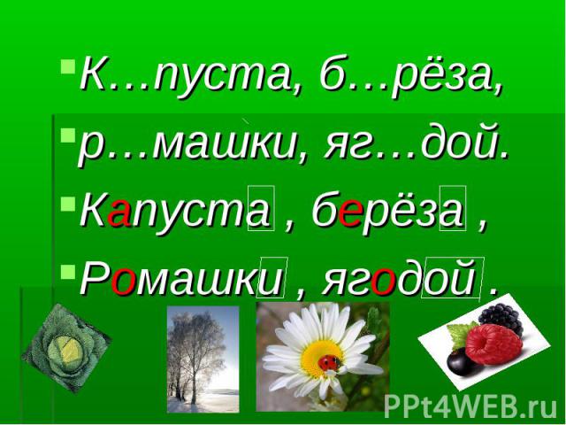 К…пуста, б…рёза, р…машки, яг…дой.Капуста , берёза ,Ромашки , ягодой .