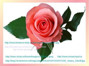 http://www.business-lady.com/images/roza/roza_00.jpghttp://all-aforizmy.ru/afori