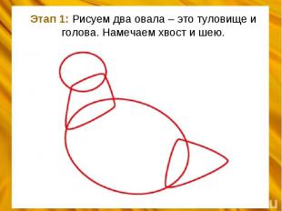 Этап 1: Рисуем два овала – это туловище и голова. Намечаем хвост и шею.