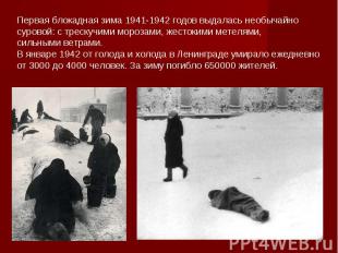 Первая блокадная зима 1941-1942 годов выдалась необычайно суровой: с трескучими