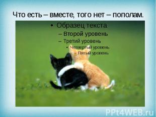 Что есть – вместе, того нет – пополам.