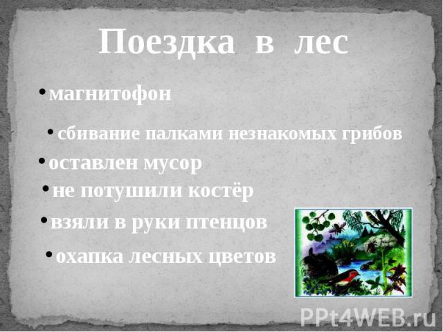 Поездка в лесмагнитофонсбивание палками незнакомых грибовоставлен мусорне потушили костёрвзяли в руки птенцовохапка лесных цветов