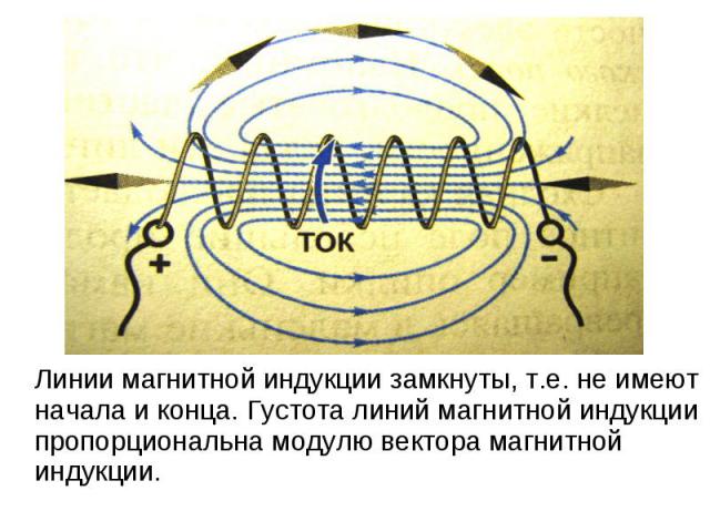 Линии магнитной индукции замкнуты, т.е. не имеют начала и конца. Густота линий магнитной индукции пропорциональна модулю вектора магнитной индукции.