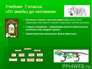 Учебник 7 класса «От амебы до человека»Изучение планов строения животных (целост