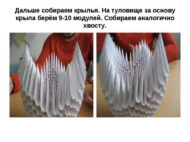 Дальше собираем крылья. На туловище за основу крыла берём 9-10 модулей. Собираем аналогично хвосту.