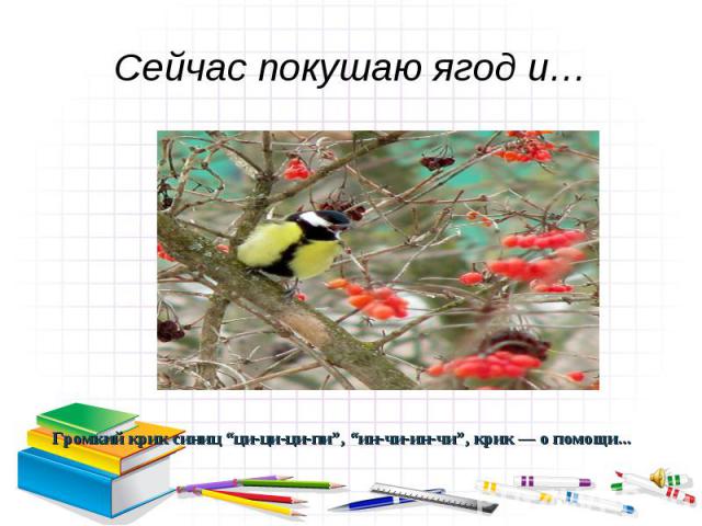 Сейчас покушаю ягод и… Громкий крик синиц “ци-ци-ци-пи”, “ин-чи-ин-чи”, крик — о помощи...