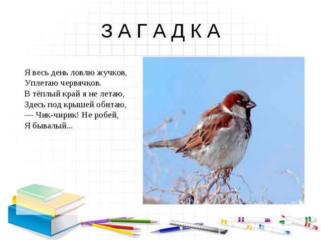 З А Г А Д К АЯ весь день ловлю жучков,Уплетаю червячков.В тёплый край я не летаю,Здесь под крышей обитаю,— Чик-чирик! Не робей,Я бывалый...