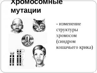 Хромосомные мутации- изменение структуры хромосом(синдром кошачьего крика)