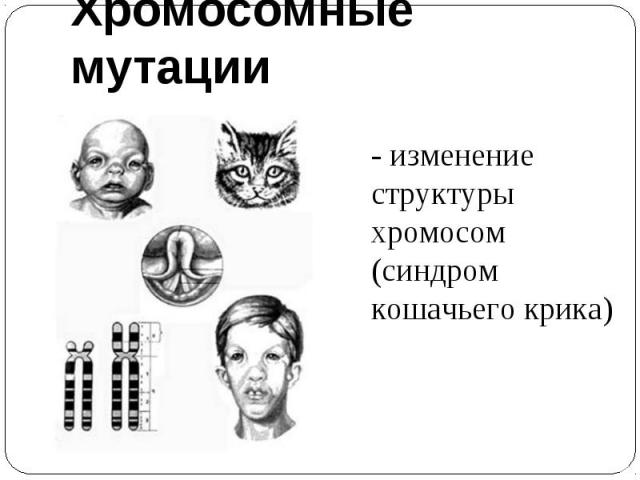 Хромосомные мутации- изменение структуры хромосом(синдром кошачьего крика)