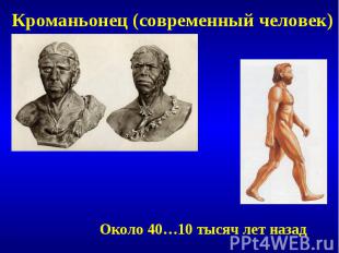 Кроманьонец (современный человек)Около 40…10 тысяч лет назад