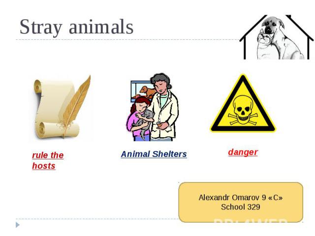 Stray animals