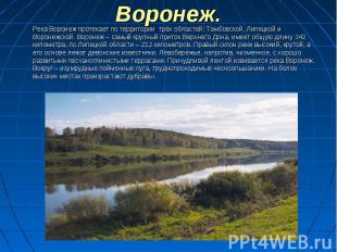 Река Воронеж протекает по территории трёх областей: Тамбовской, Липецкой и Ворон