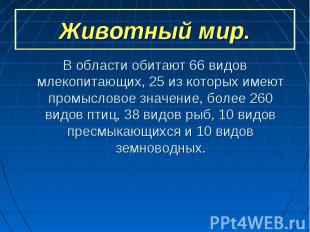 Животный мир. В области обитают 66 видов млекопитающих, 25 из которых имеют пром