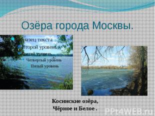 Озёра города Москвы. Косинские озёра,Чёрное и Белое .