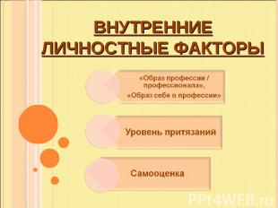 Внутренниеличностные факторы «Образ профессии / профессионала», «Образ себя в пр