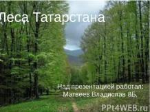 Леса Татарстана