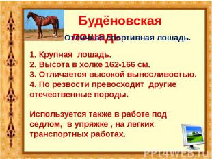 Будёновская лошадь Отличная спортивная лошадь. 1. Крупная лошадь.2. Высота в хол