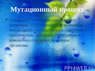 Мутационный процесс Это процесс в котором совершаются внезапные, естественные ил