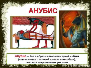 АНУБИС Анубис — бог в образе шакала или дикой собаки (или человека с головой шак