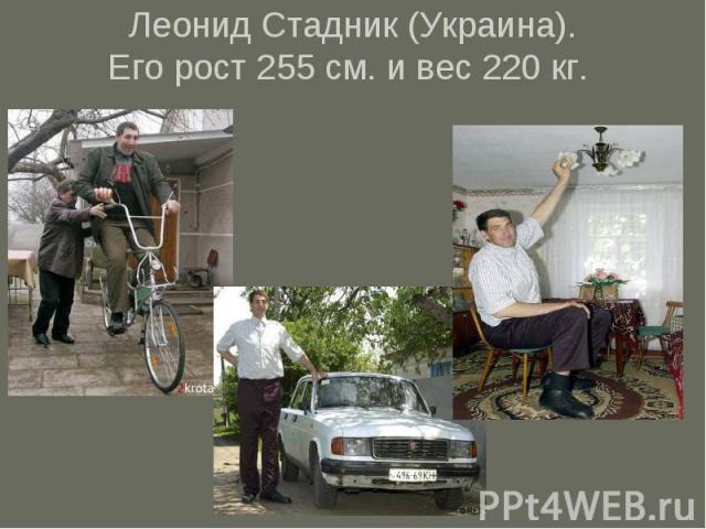 Леонид Стадник (Украина).Его рост 255 см. и вес 220 кг.