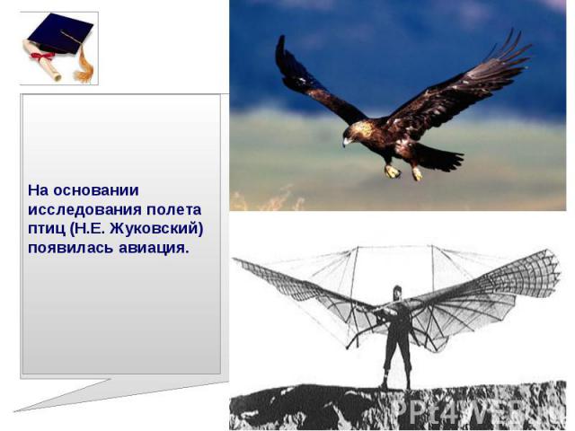 На основании исследования полета птиц (Н.Е. Жуковский) появилась авиация.