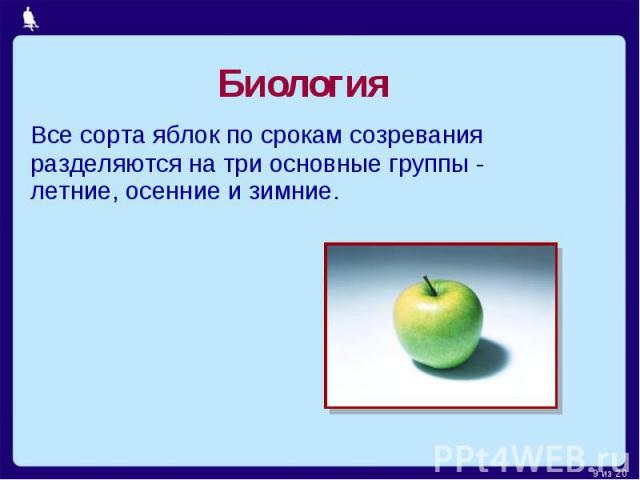 Биология Все сорта яблок по срокам созревания разделяются на три основные группы - летние, осенние и зимние.