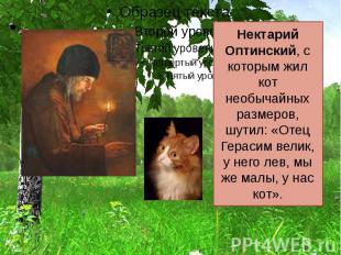 Нектарий Оптинский, с которым жил кот необычайных размеров, шутил: «Отец Герасим