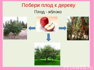 Побери плод к дереву Плод - яблоко