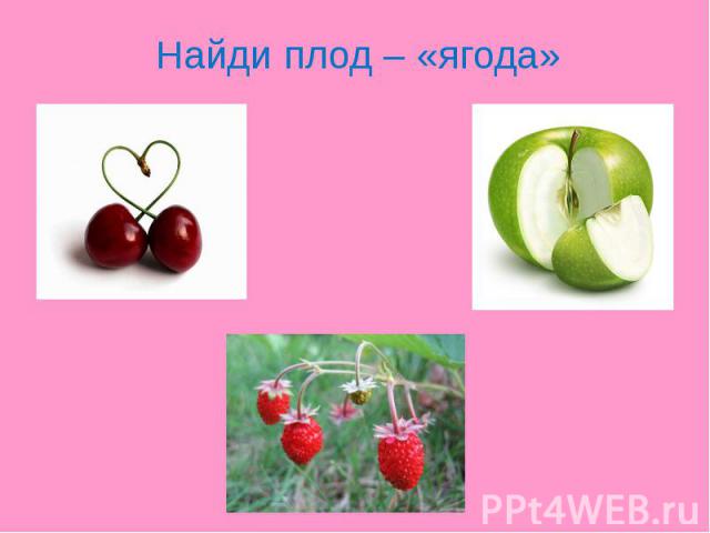Найди плод – «ягода»