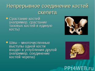 Непрерывное соединение костей скелета Срастание костей (например, срастаниетазов