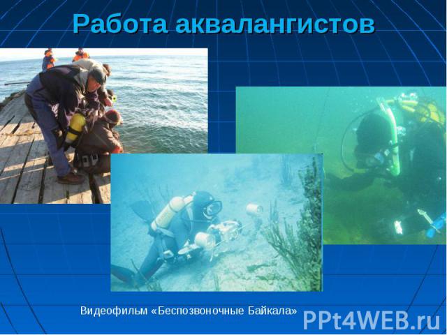 Работа аквалангистов Видеофильм «Беспозвоночные Байкала»