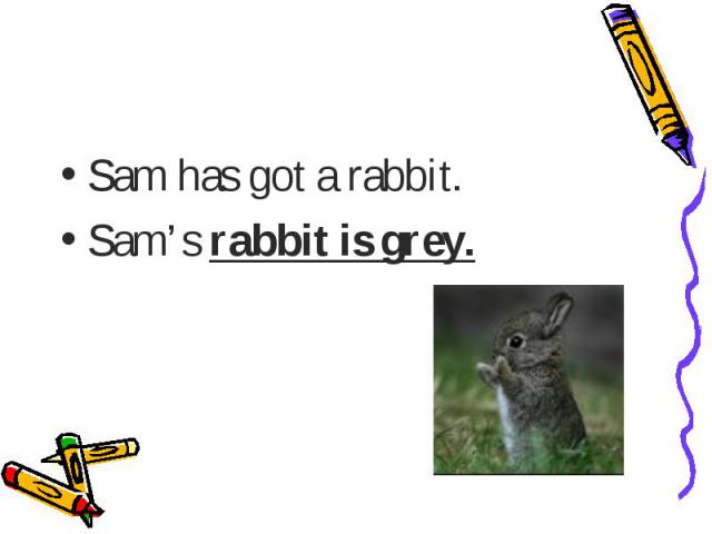 Sam has got a rabbit.Sam’s rabbit is grey.