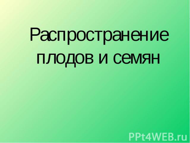 Распространение плодов и семян