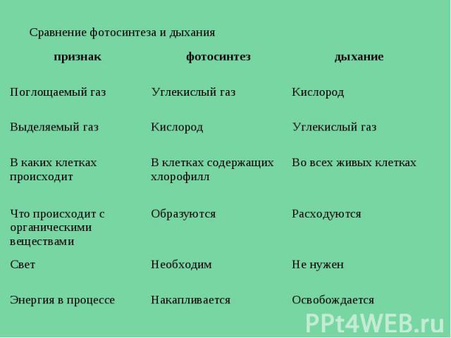 Сравнение процессоров хеон е5450 и кор дуо у6700