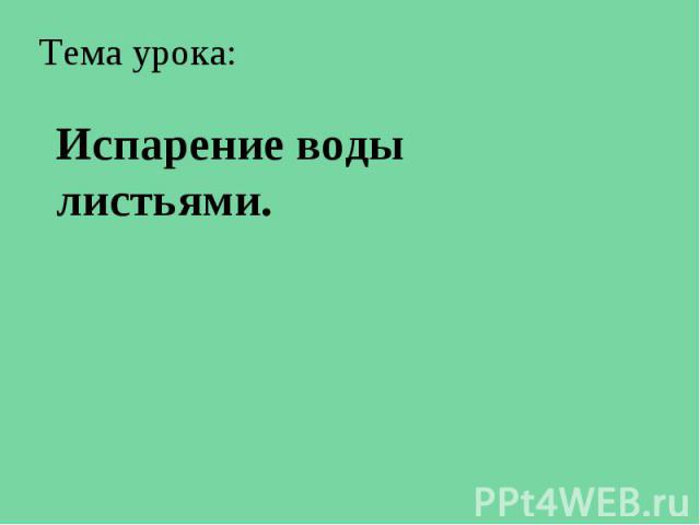 Тема урока: Испарение воды листьями.